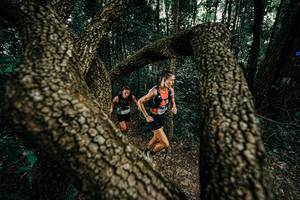 BIB: 
                            <button type="button" onclick="openModal(25389757)" class="btn btn-primary btn-sm float-right btn-popup" data-toggle="modal" data-target=".modal-high-quality">
                        <i class="fas fa-shopping-cart"></i> Add to Cart
                    </button>
                                            <button type="button" onclick="isThisMe(25389757, true)" class="btn btn-success btn-sm float-right btn-popup btn-isme hidden" data-toggle="tooltip" data-placement="bottom" title="นี่คือรูปของคุณใช่ไหม คลิกที่นี่เพื่อเอาเข้าอัลบั้ม">
                        <i class="fas fa-plus"></i> Add to album
                    </button>
                    <button type="button" onclick="isThisMe(25389757, false)" class="btn btn-warning btn-sm float-right btn-popup btn-isnotme hidden">
                        <i class="fas fa-ban"></i> Remove from album
                    </button>